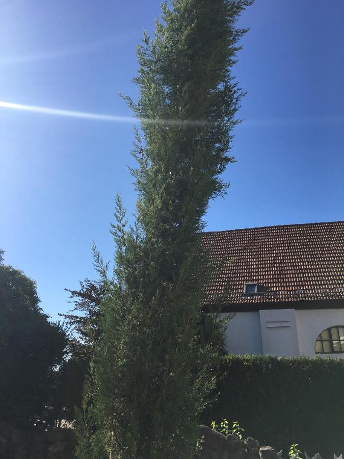 Ferienwohnung Tor zum Pfälzerwald Pirmasens Exterior foto